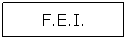 Casella di testo: F.E.I.
